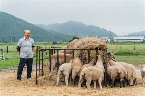 一生羊羊|茶路めん羊牧場 